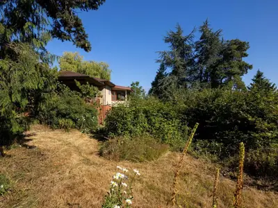 View 24