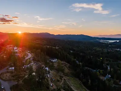 View 79