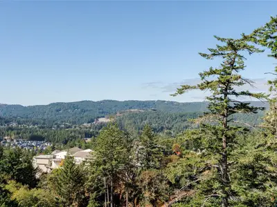 View 29