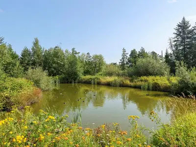 View 37