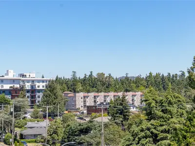 View 27