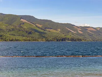 View 31