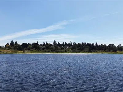 View 40