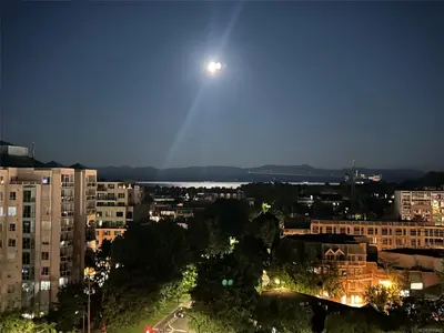 View 22