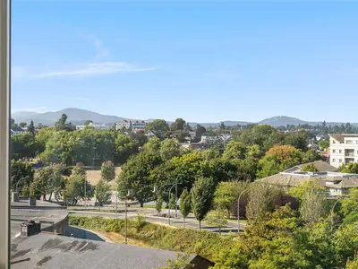View 14