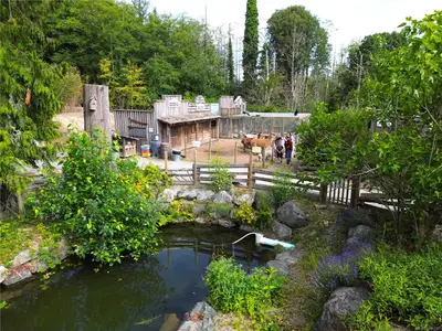 View 5