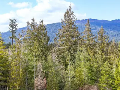 View 38