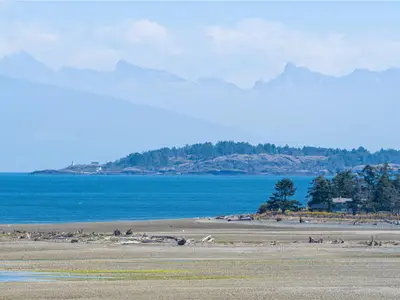 View 36