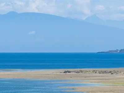 View 38
