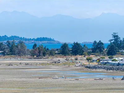 View 39
