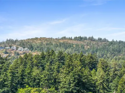 View 28