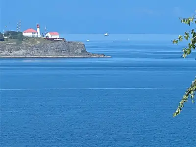 View 23