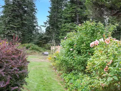 View 56