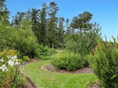 View 50