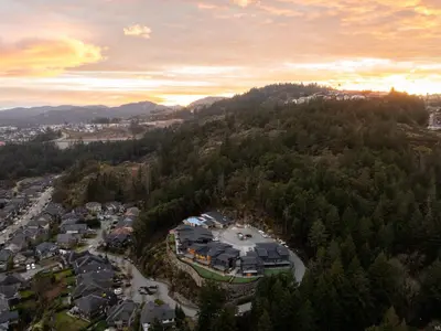 View 43