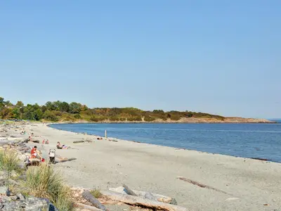 View 31