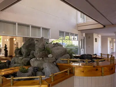 View 31