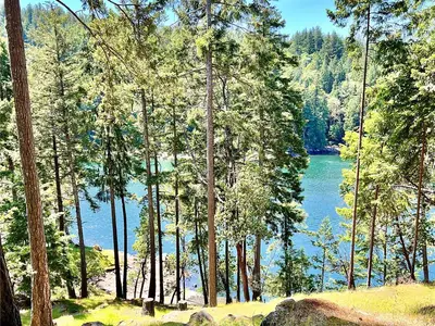 View 76