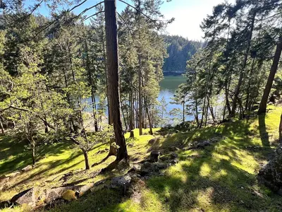View 69
