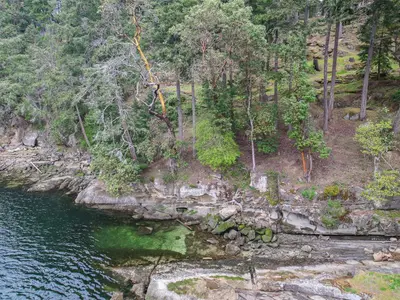 View 10