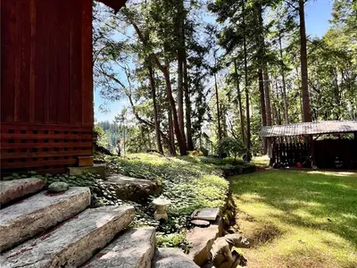 View 60
