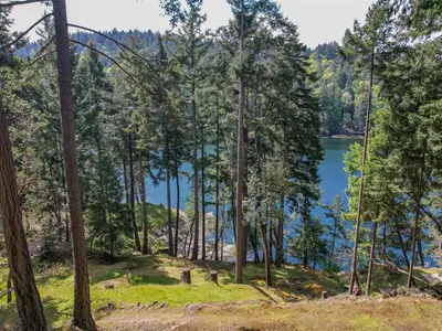 View 25