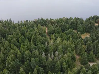 View 13