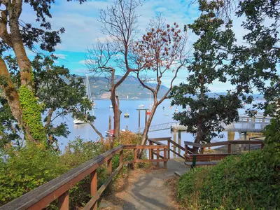 View 56
