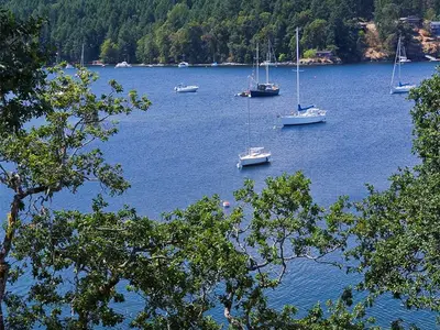 View 63