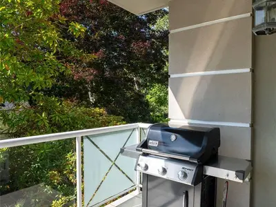 View 31