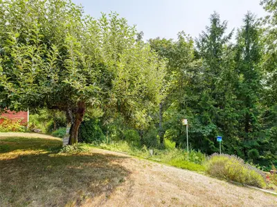 View 15