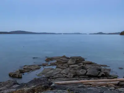 View 50