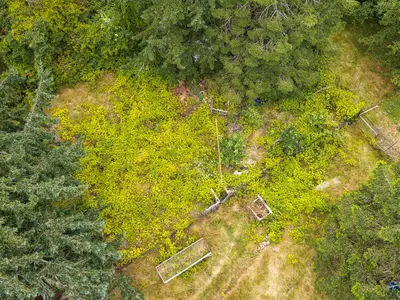 View 29