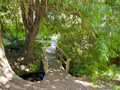 View 34