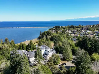 View 39