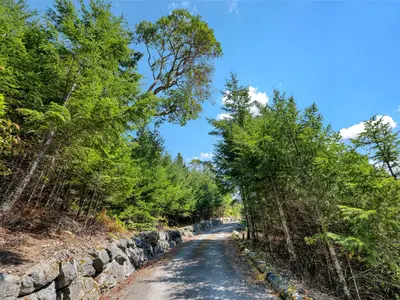 View 71