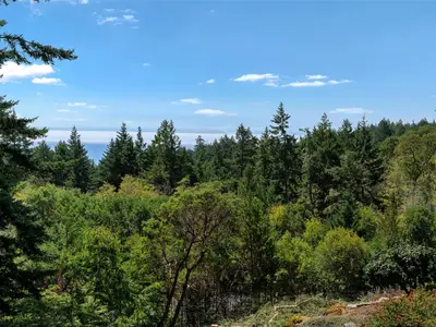 View 28