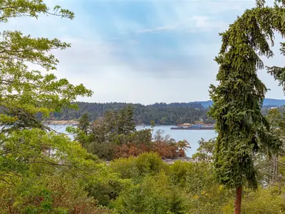 View 17