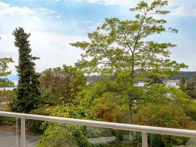 View 16