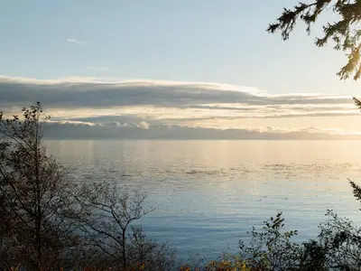View 70