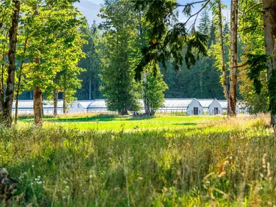 View 25