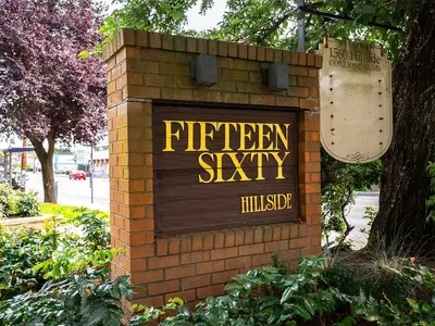 View 29