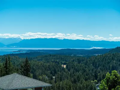 View 50