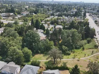 View 27