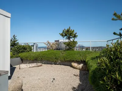 View 24