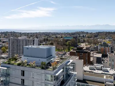 View 19