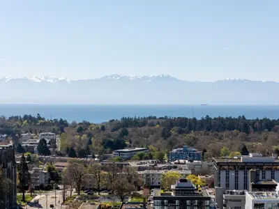 View 21