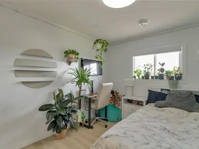 View 28