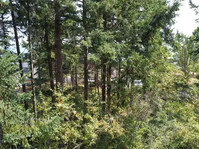 View 13
