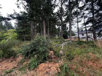 View 17
